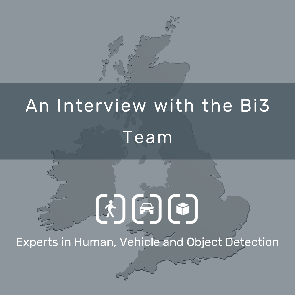 Who Are Bi3? – Investigating our Business Culture.